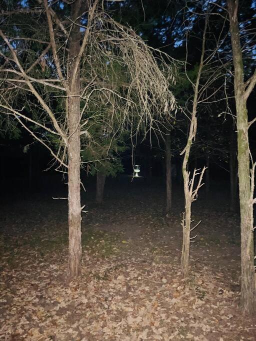 Villa Bastrop Tiny Disc Golf Retreat Esterno foto